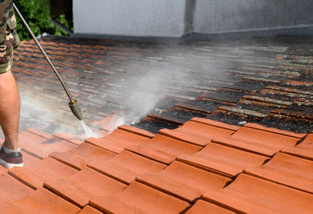 Best Affordable Pressure Washing  in Arthur, IL
