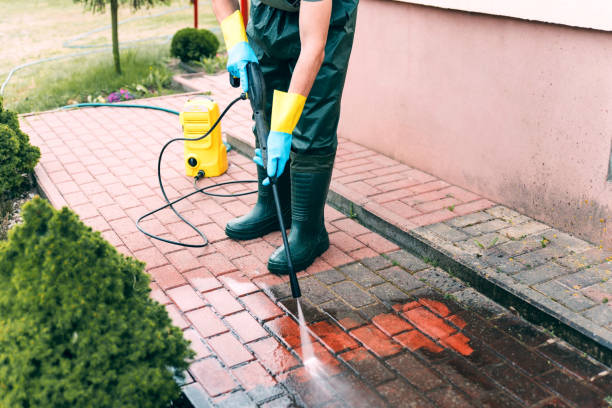 Best Fence Pressure Washing  in Arthur, IL