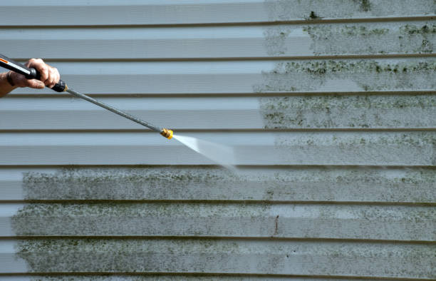 Best Exterior Home Cleaning  in Arthur, IL