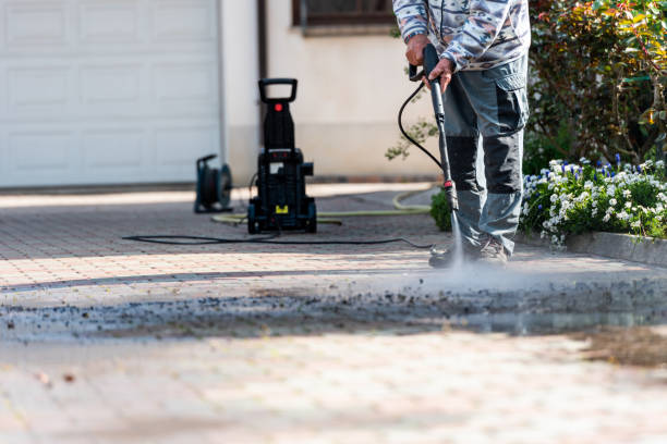 Best Roof Power Washing Services  in Arthur, IL